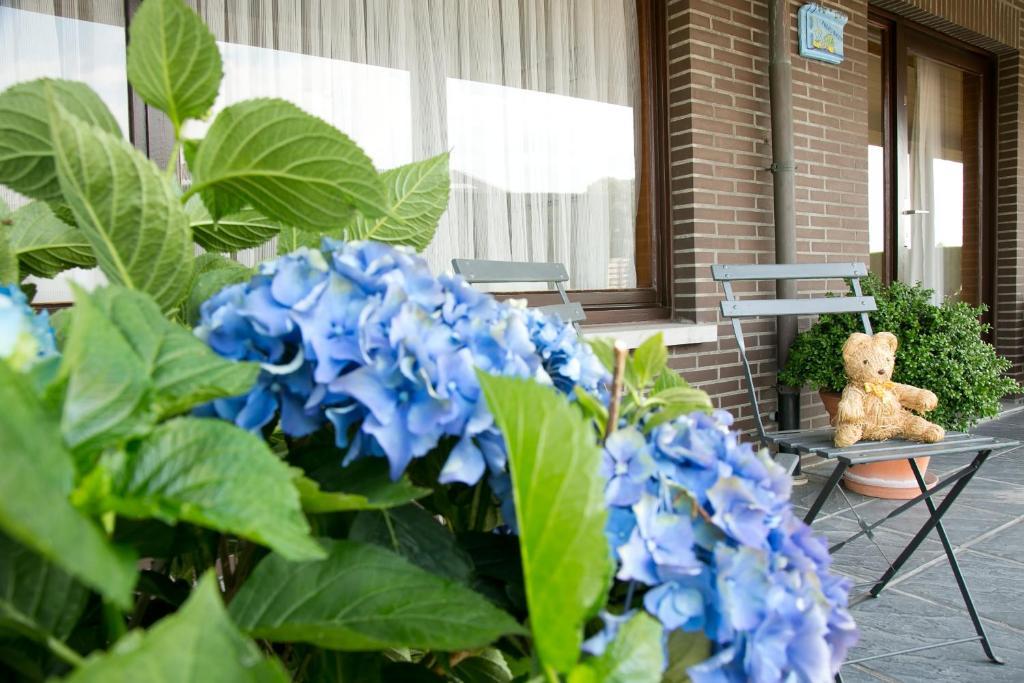 Hoevedomein Polderrust Apartamento Nieuwpoort Exterior foto